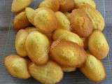 Madeleines