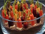 Pour l'apéritif , un potager de petites carottes très colorées