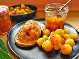 Confiture de mirabelles pas trop sucrée : Recett et préparation