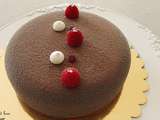 Entremet chocolat framboise