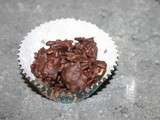 Roses des sables au chocolat