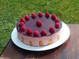 Entremets mousses fraise et framboise