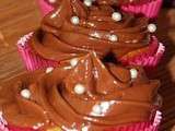 Cupcakes chataigne chocolat