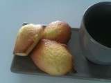 Madeleines au citron