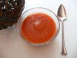 Gaspacho au thermomix ou sans