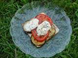 Tartines d'aubergine, tomate et mozzarella