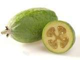 Feijoa