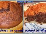 Gâteau au yaourt marbré au Nutella