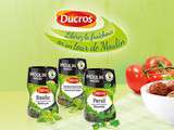 Nouveaux produits Ducros