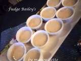 Fudge Bailey's