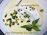 Ile flottante à la verveine