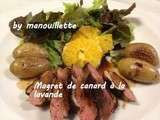 Magret de canard à la lavande