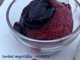 Sorbet myrtilles - violette