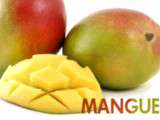 Cake Mangue & Pistaches