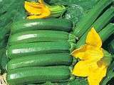 Gratin de Courgettes