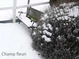 Hiver au Chaud pour Tous