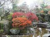 Quelques jours au Japon: Nara