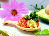 Amusette mini canapé en forme de petite cuillère à la crème avocats ketchup paprika