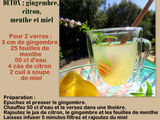 DÉTOX ; Infusion antioxydante au gingembre, menthe, citron et miel