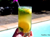 Mojito rhum/citron/sirop de canne/sève de bouleau lactofermentée bio