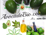 Partenaire AvocadoBio De la nature le meilleur pour vous