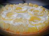 Bavarois Noix de Coco/Ananas (au Thermomix)