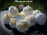 Meringues aux amandes (au Thermomix)