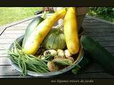 Nos légumes trésors du jardin