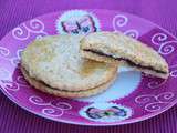 Biscuits Princiers au chocolat