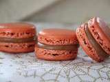 Macarons aux Speculoos