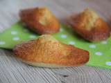 Madeleines à la poire et aux noisettes