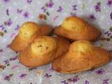 Madeleines au pralin