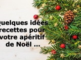 Quelques idées de recettes pour votre apéro de Noël