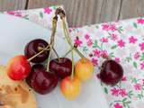 Quoi faire avec des cerises .... (index de recettes)