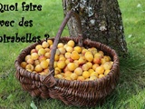 Quoi faire avec des mirabelles