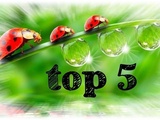 Top 5 – Août 2021