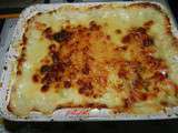 Lasagne végétarienne