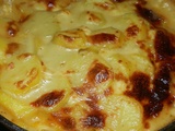 Rondelles de pommes de terre aux chicons sauce béchamel au camembert