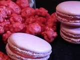 Macarons pralines roses