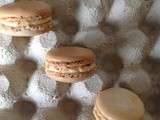 Macarons pralinés