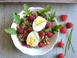 Salade de lentilles 3 couleurs aux légumes et framboises