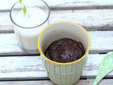 Mug cake au chocolat vegan