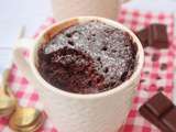 Mug cake moelleux au chocolat {vegan}