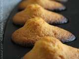 De délicieuses petites madeleines, un