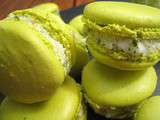 Macarons au pesto