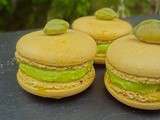 Macarons pistache