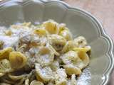 Orecchiette aux endives et pesto