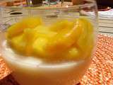 Panna cotta mangue- coco