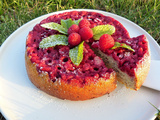 Fondant à la ricotta, framboises et poudre de noisettes (sans beurre ni gluten)