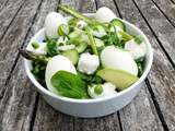 Salade printanière bicolore de légumes crus au chèvre frais (avec ou sans œufs)